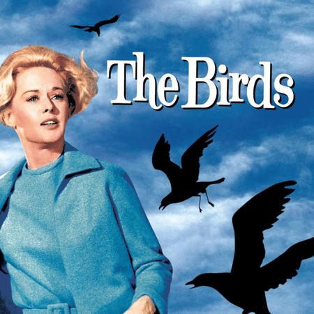 Summer Classic Horror Series: The Birds